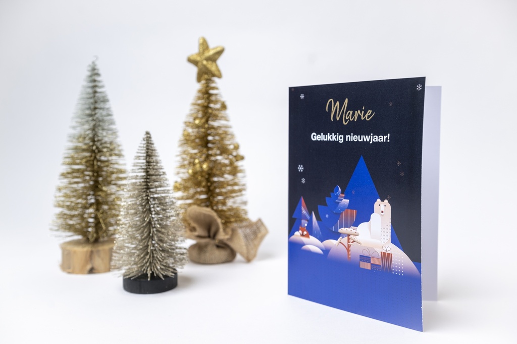 Wenskaart 'polar bear wishes'